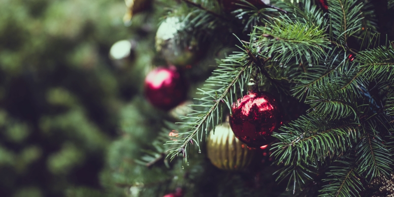 Gewijzigde openingstijden tijdens de kerstvakantie